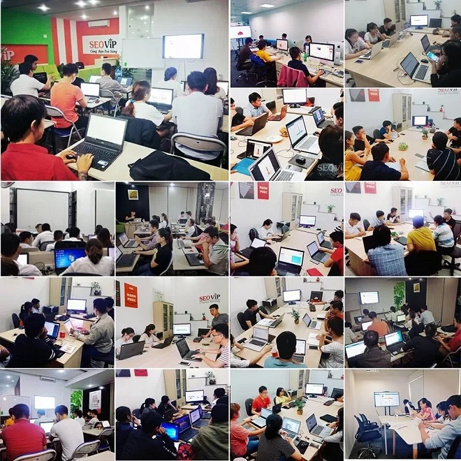dao tao seo 1