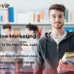 Online Marketing Cho Công Ty Du học, Visa, Luật: Bí Quyết Đưa Doanh Nghiệp Lên Tầm Cao Mới