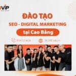 Khóa Học SEO, Digital Marketing Cao Bằng | SEOViP Academy