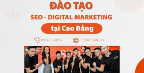 dao tao seo digital marketing tai cao bang 51