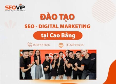 Khóa Học SEO, Digital Marketing Cao Bằng