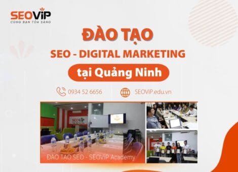 Đào Tạo SEO, Digital Marketing tại Quảng Ninh