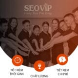 Đội ngũ hỗ trợ SEOViP Academy