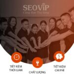 Đội ngũ hỗ trợ SEOViP Academy
