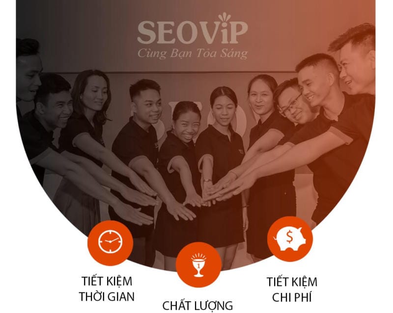 Đội ngũ hỗ trợ SEOViP Academy
