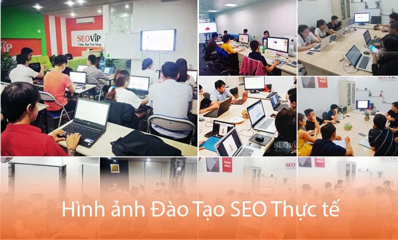 Hệ thống màn hình & âm thanh chất lượng cao