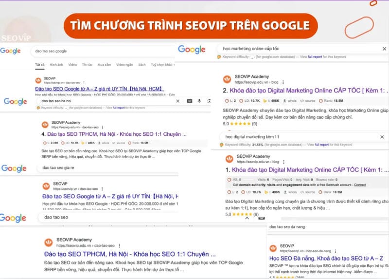 Đơn vị SEOViP trên internet