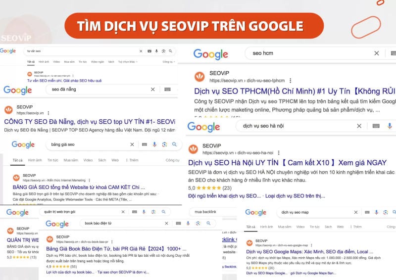 Tìm kiếm đơn vị SEOViP trên internet
