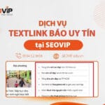 Dịch Vụ Mua Bán Textlink Báo Uy Tín, Giá Gốc