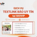 Dịch Vụ Mua Bán Textlink Báo Uy Tín, Giá Gốc