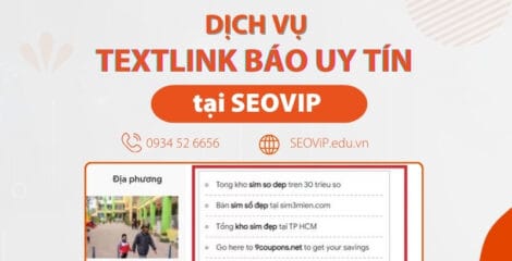 dich vu textlink bao seovip 63
