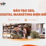 Đào tạo SEO, Digital Marketing Điện Biên – Khóa Học Thực Chiến 1 Kèm 1 Ra Nghề