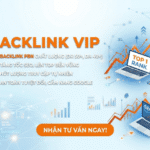 Dịch vụ backlink chất lượng cao, uy tín số 1 tại SEOViP