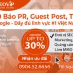 Dịch vụ Book Báo PR Chuyên Nghiệp, Uy Tín Top 1 Tại SEOViP