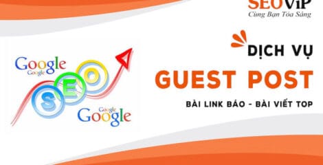 dich vu guest post 64