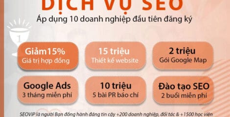dich vu seo 75
