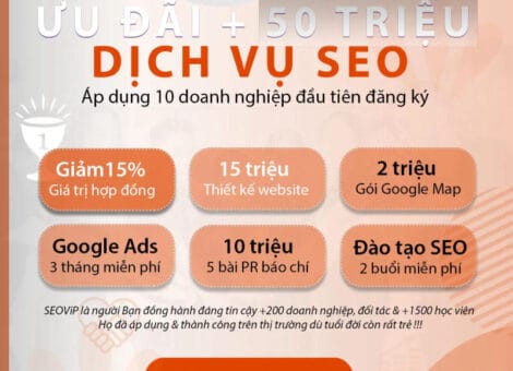 Dịch vụ SEO Tổng Thể Uy Tín - Giải Pháp Tăng Doanh Thu Từ SEOViP