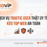 Dịch Vụ Traffic User Thật Uy Tín, Kéo Top Web An Toàn