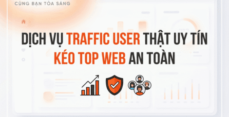 dich vu traffic user 67