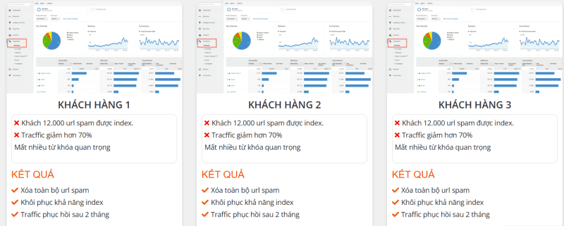 Case Study: Cứu sống website bị de-index nặng
